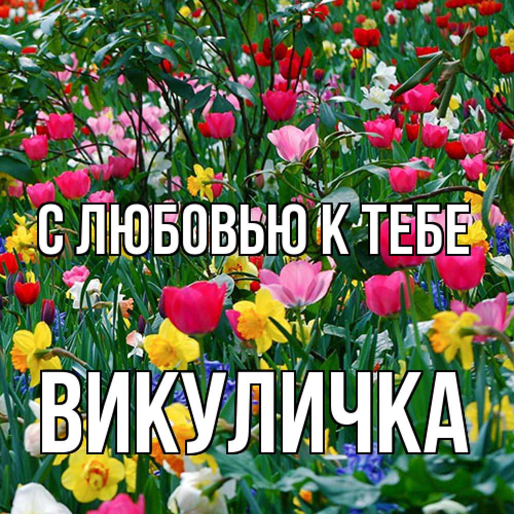 Открытка  с именем. Викуличка, С любовью к тебе  