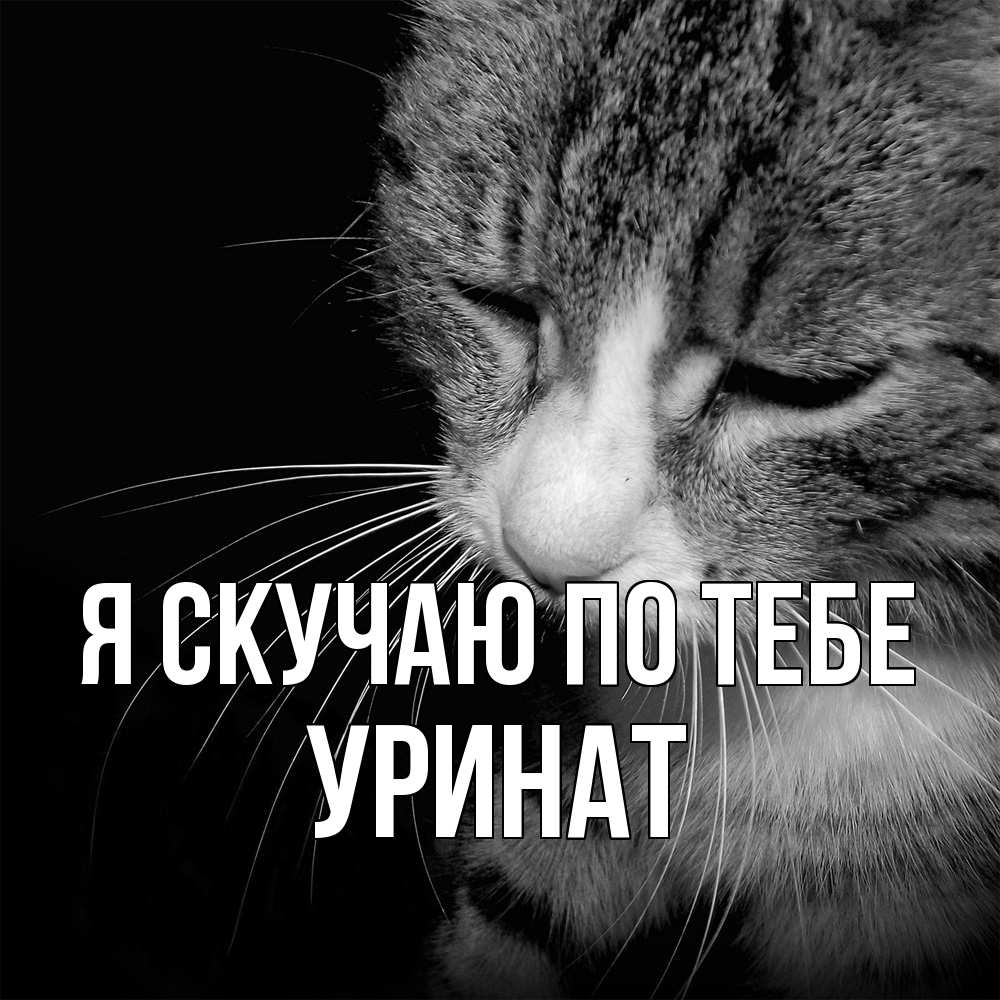 Открытка  с именем. уРинат, Я скучаю по тебе  