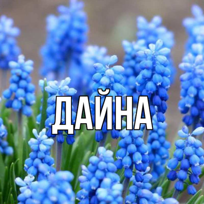 Картинка  с именем , Дайна