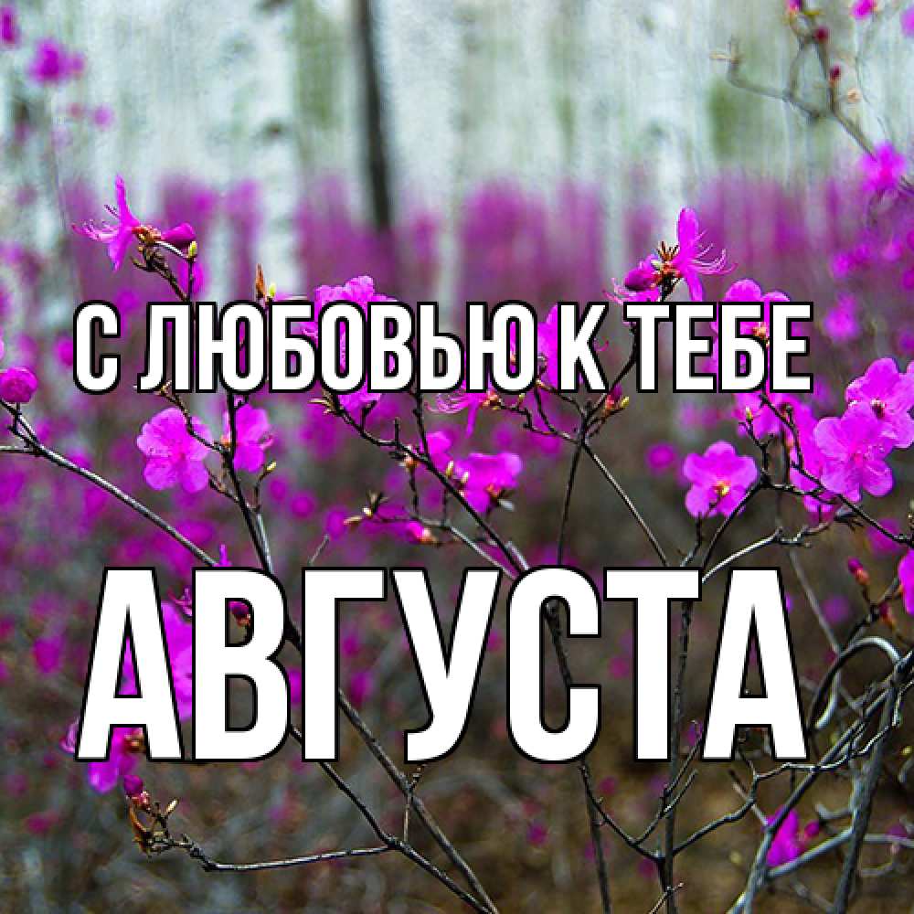 Открытка  с именем. Августа, С любовью к тебе  