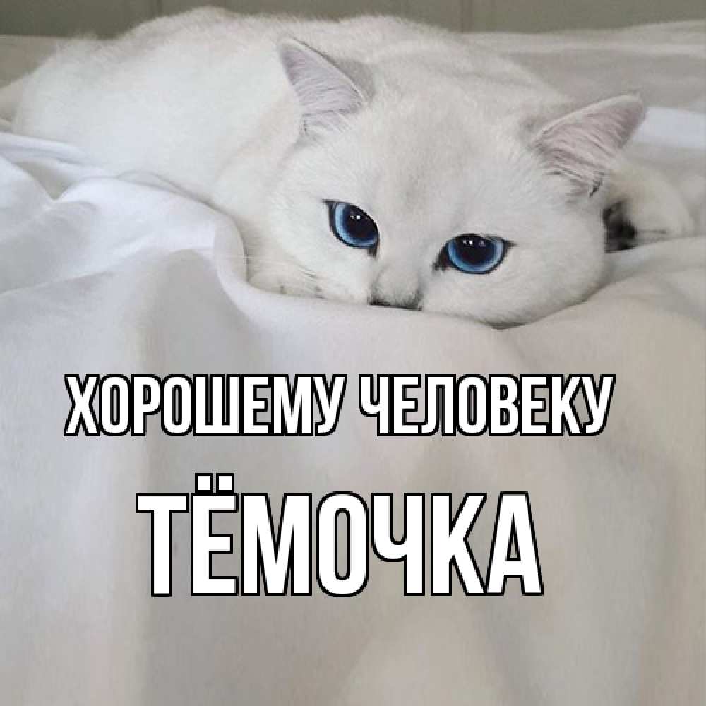 Открытка  с именем. Тёмочка, Хорошему человеку  