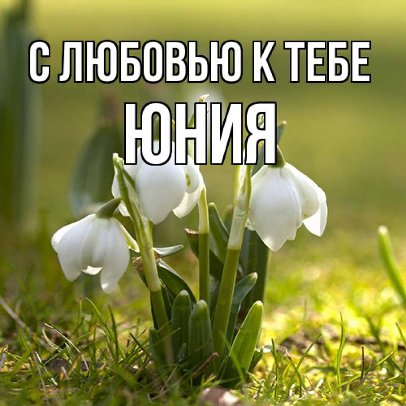 Картинка С любовью к тебе, Юния
