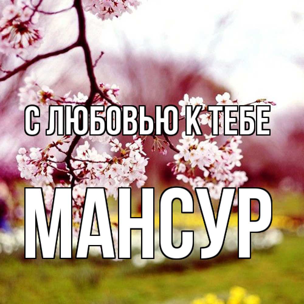 Открытка  с именем. Мансур, С любовью к тебе  