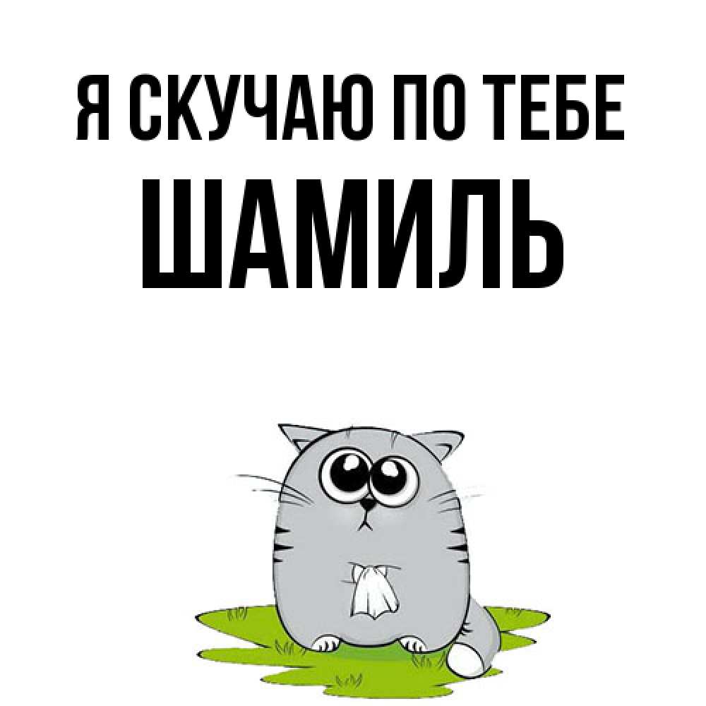 Открытка  с именем. Шамиль, Я скучаю по тебе  