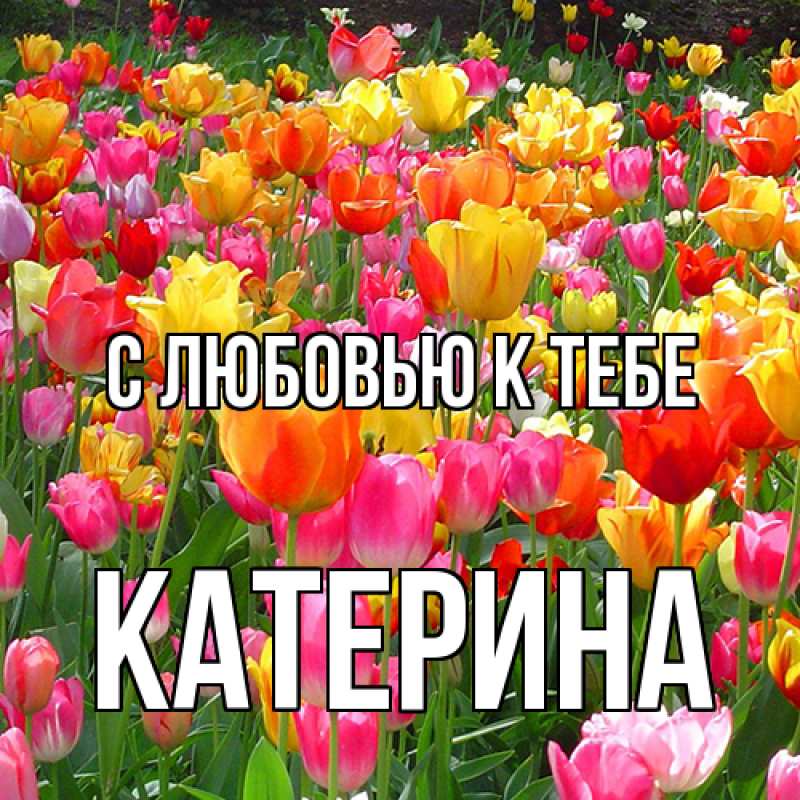 Картинка С любовью к тебе, Катерина