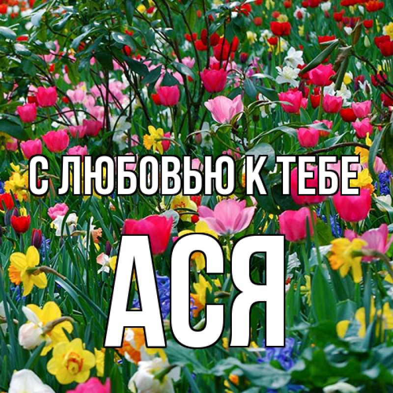 Картинка С любовью к тебе, Ася