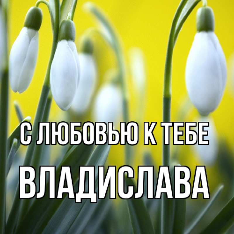 Картинка С любовью к тебе, Владислава