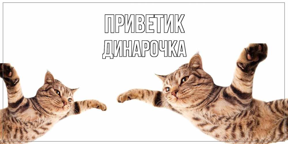 Открытка  с именем. Динарочка, приветик  