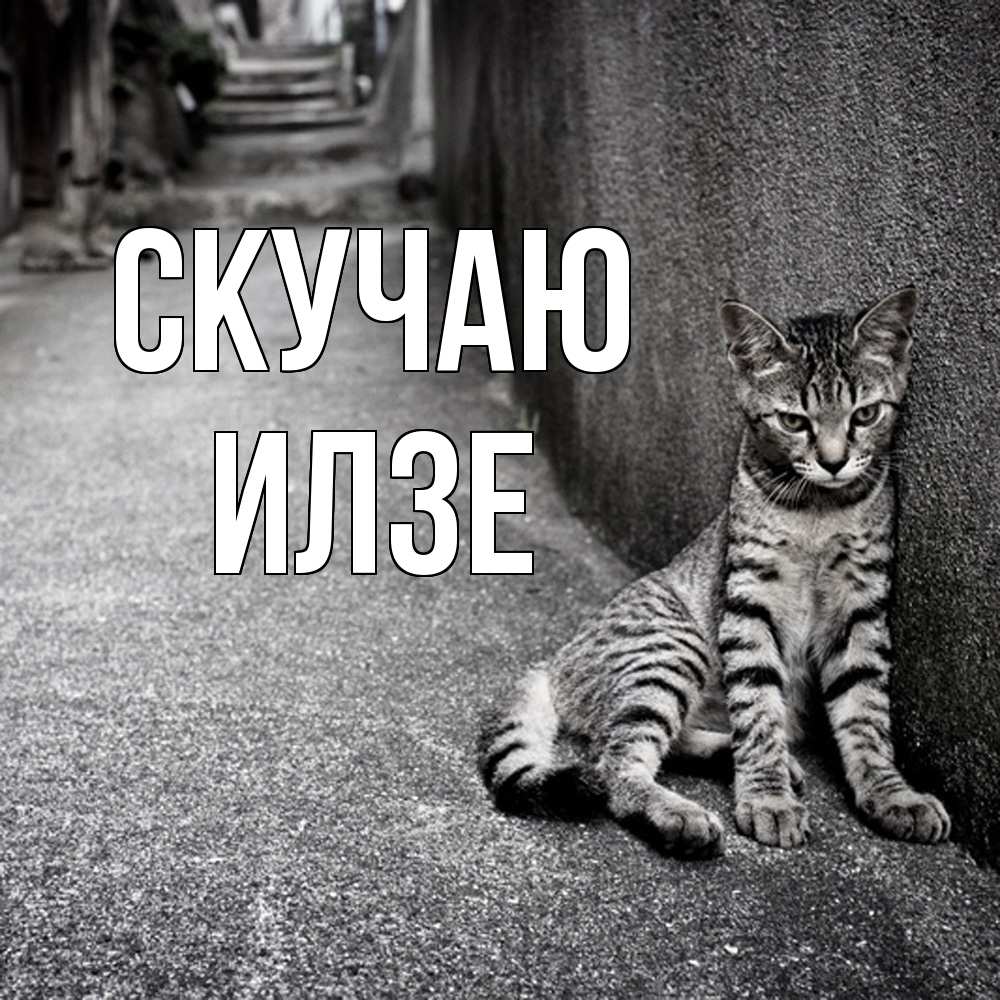 Открытка  с именем. Илзе, Скучаю  