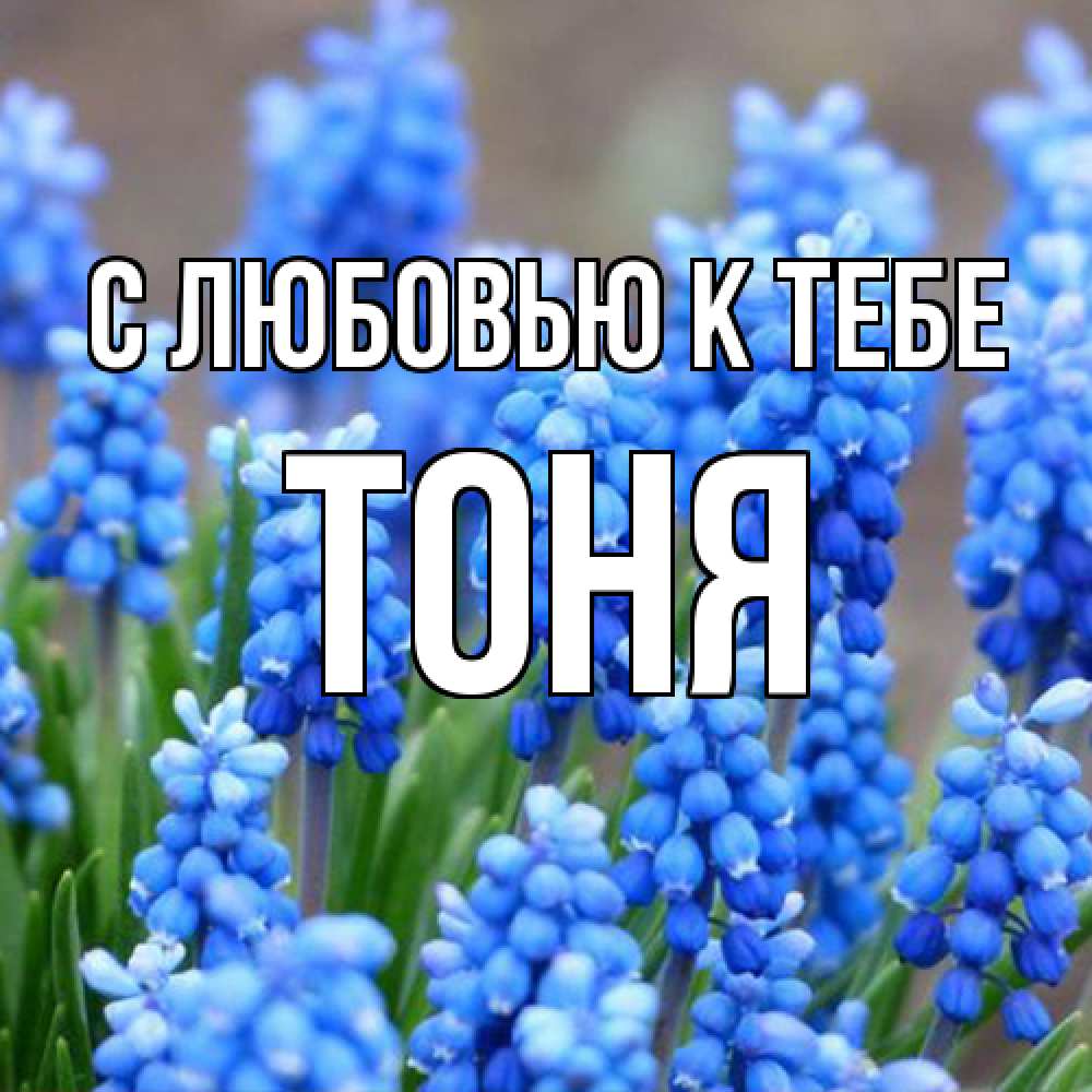 Открытка  с именем. Тоня, С любовью к тебе  