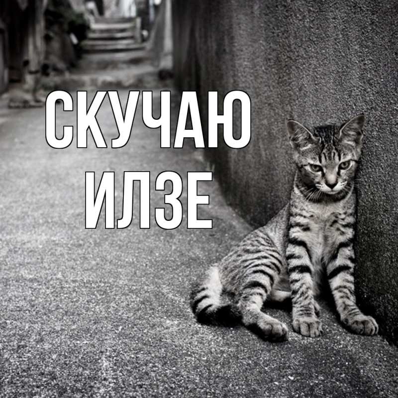 Картинка Скучаю, Илзе