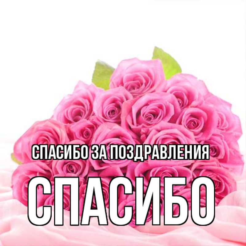 Картинка Спасибо за поздравления, СПАСИБО