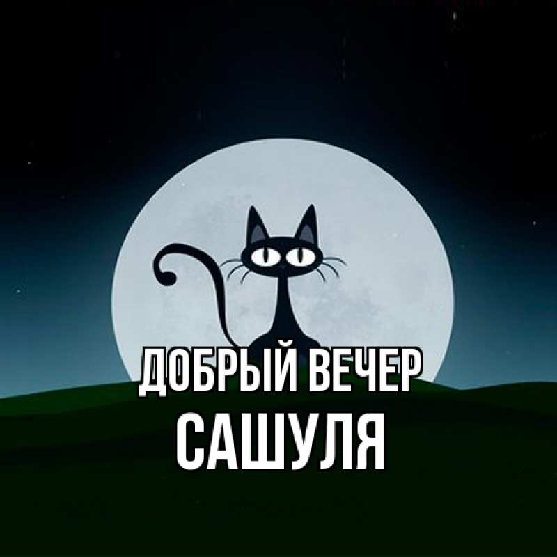 Картинка Добрый вечер, Сашуля