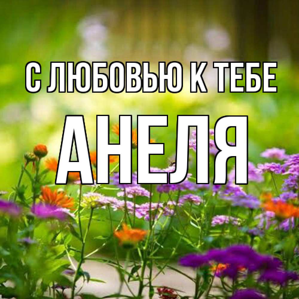 Открытка  с именем. Анеля, С любовью к тебе  