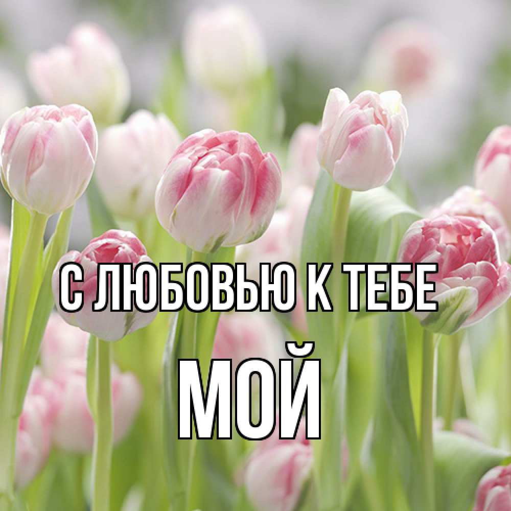 Открытка  с именем. Мой, С любовью к тебе  