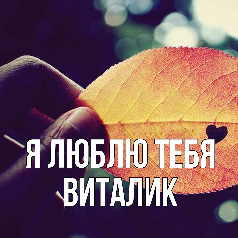 Открытка  с именем. Виталик, Я люблю тебя  