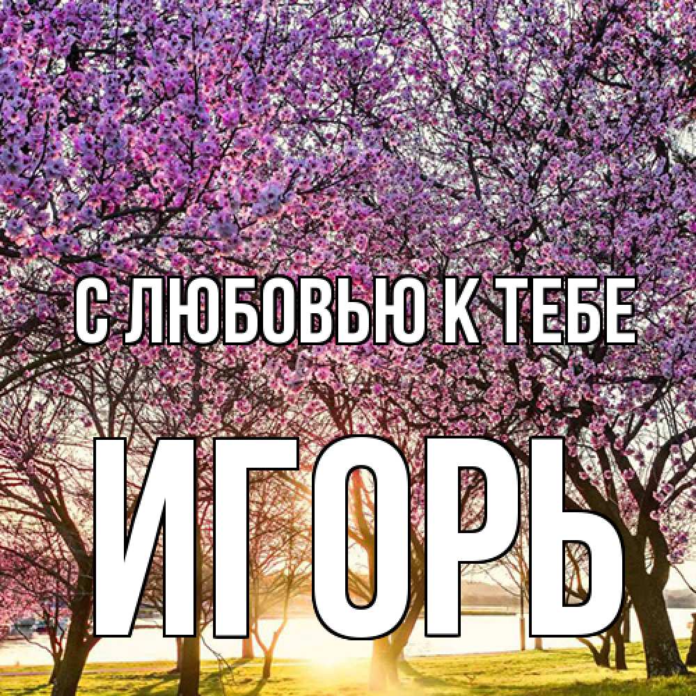 Открытка  с именем. Игорь, С любовью к тебе  