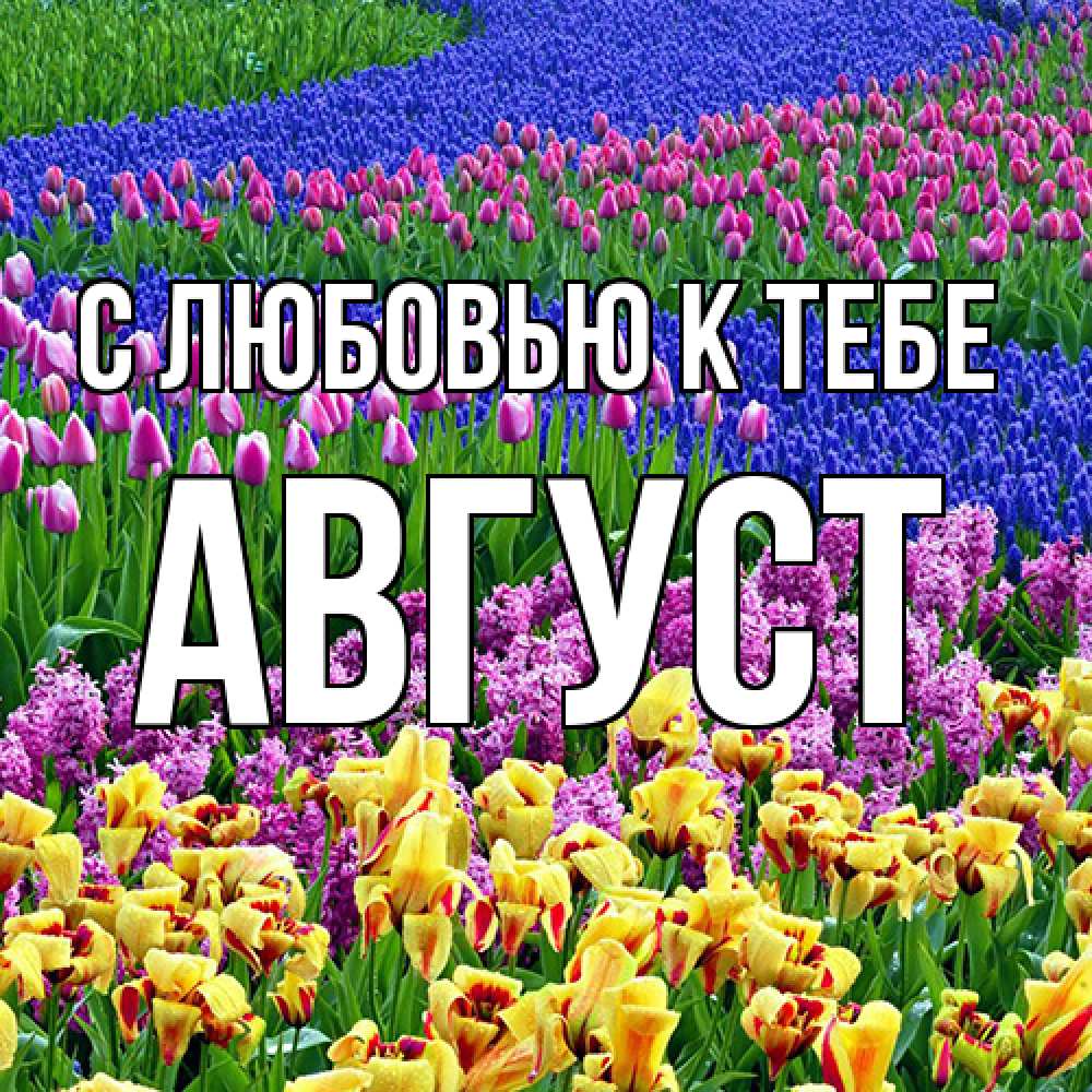 Открытка  с именем. Август, С любовью к тебе  
