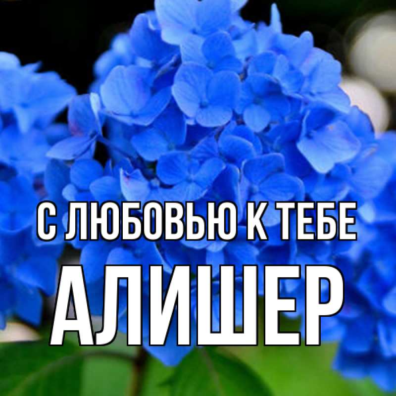 Картинка С любовью к тебе, Алишер
