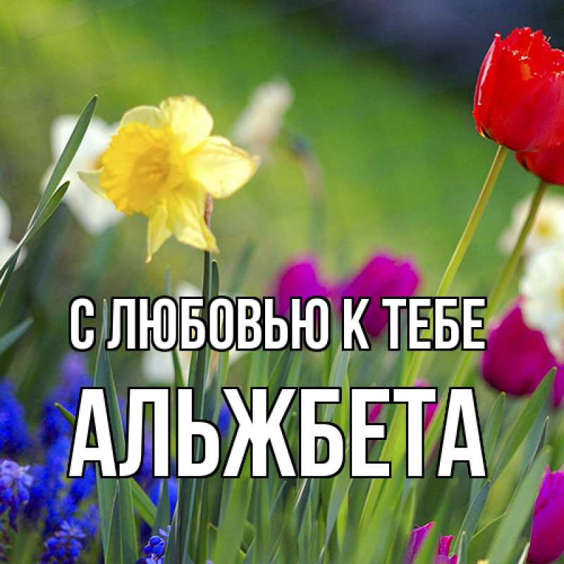 Картинка С любовью к тебе, Альжбета