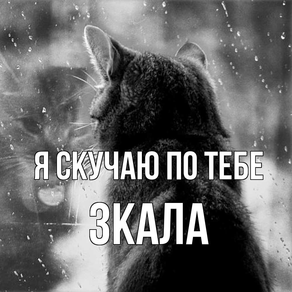 Открытка  с именем. ЗКАЛА, Я скучаю по тебе  