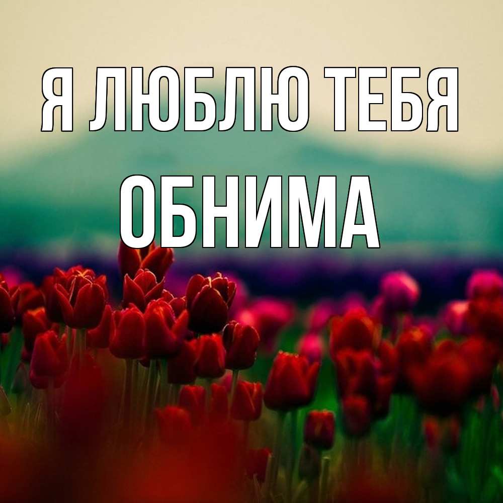 Открытка  с именем. Обнима, Я люблю тебя  