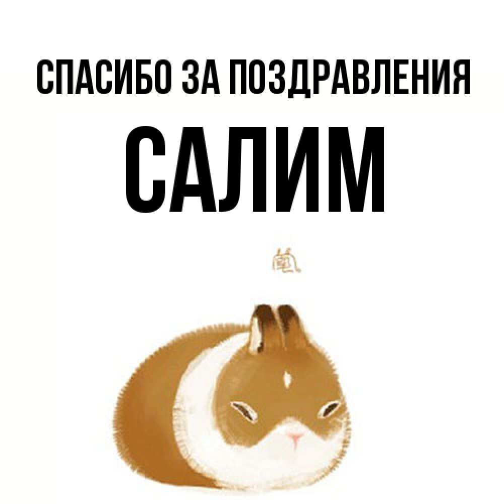 Открытка  с именем. Салим, Спасибо за поздравления  