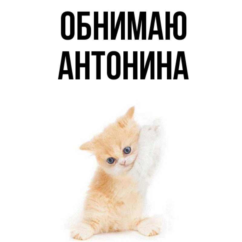 Картинка Обнимаю, Антонина