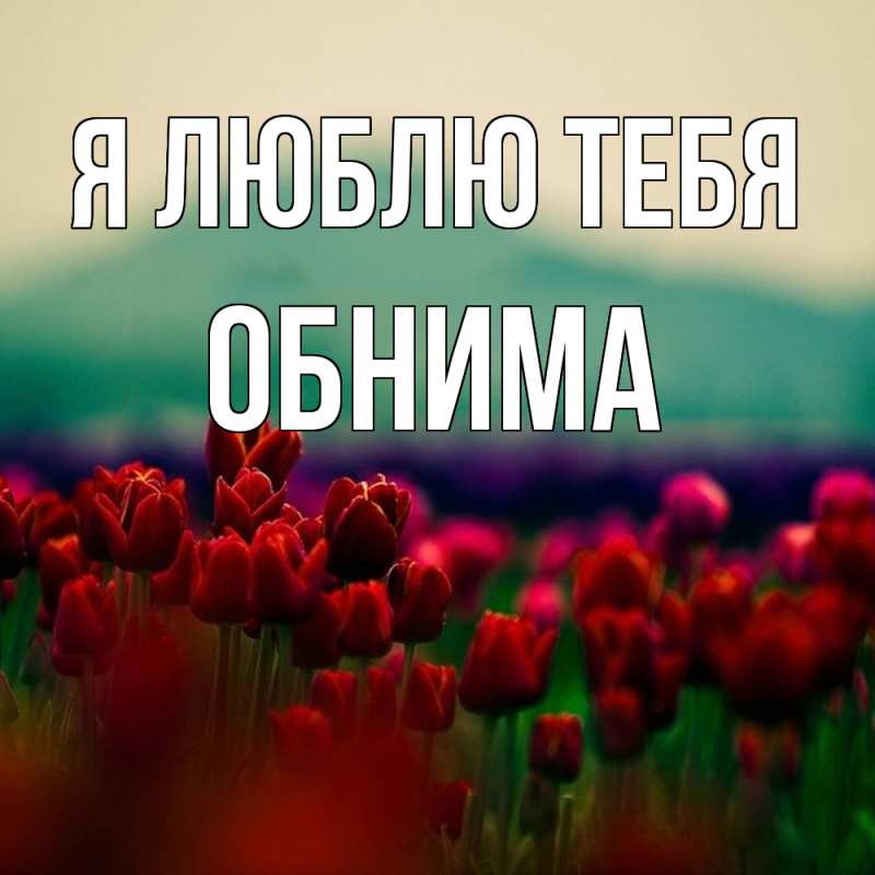 Картинка Я люблю тебя, Обнима