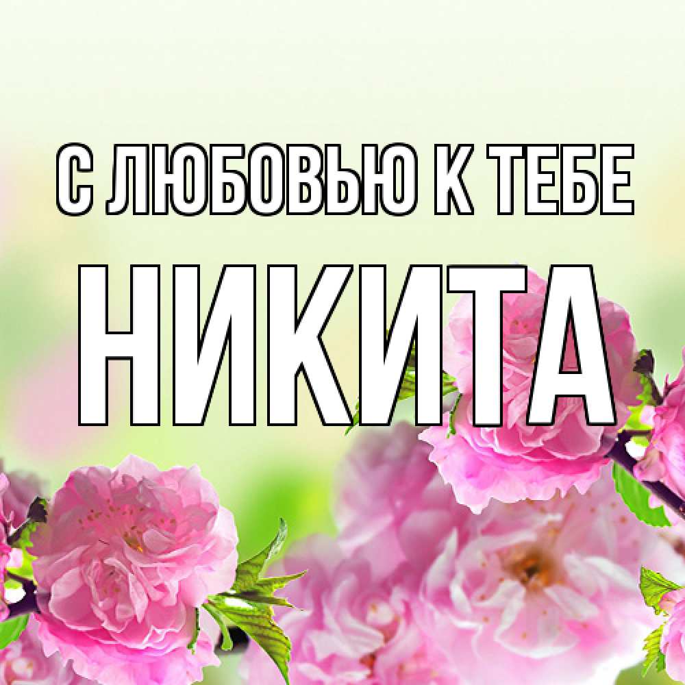 Открытка  с именем. Никита, С любовью к тебе  