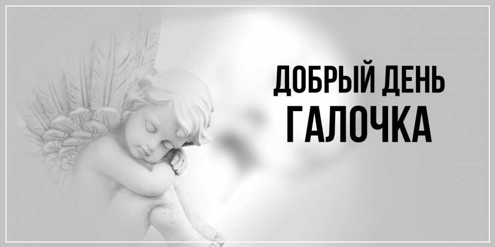 Открытка  с именем. Галочка, Добрый день  