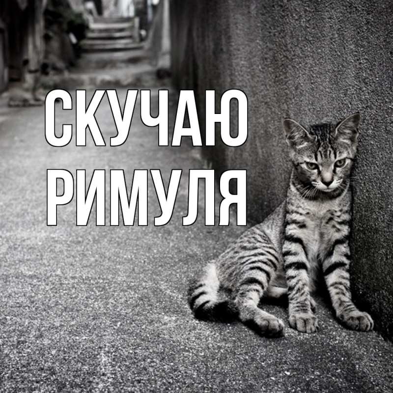 Картинка Скучаю, римуля
