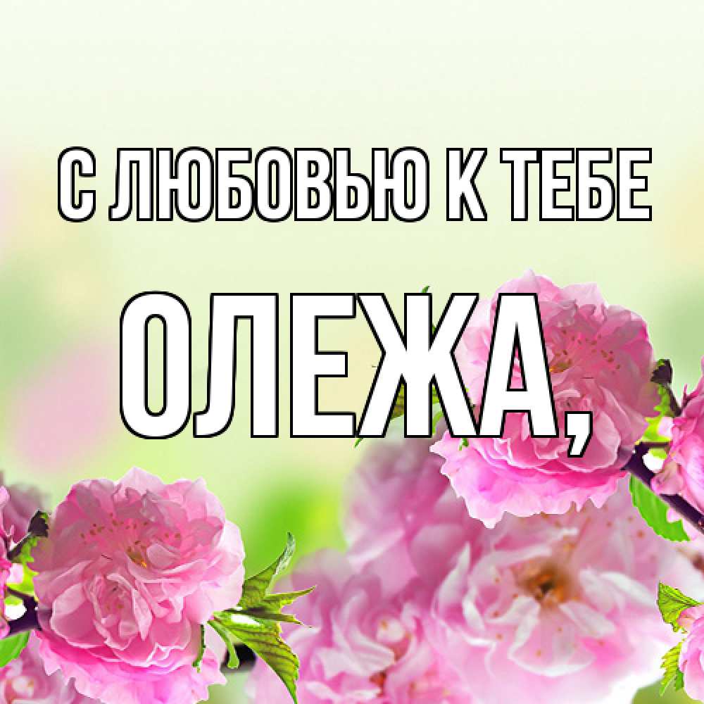 Открытка  с именем. Олежа, С любовью к тебе  