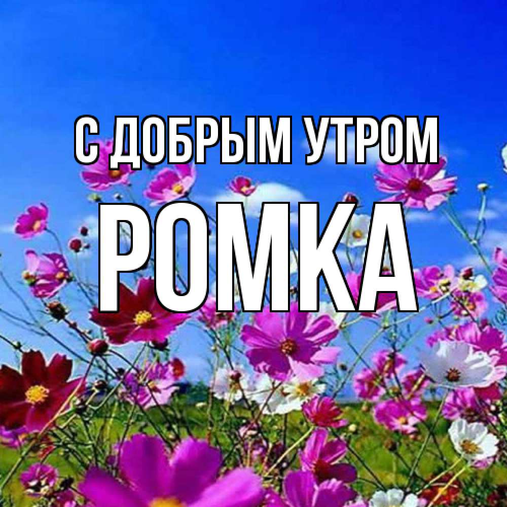 Открытка  с именем. Ромка, С добрым утром  