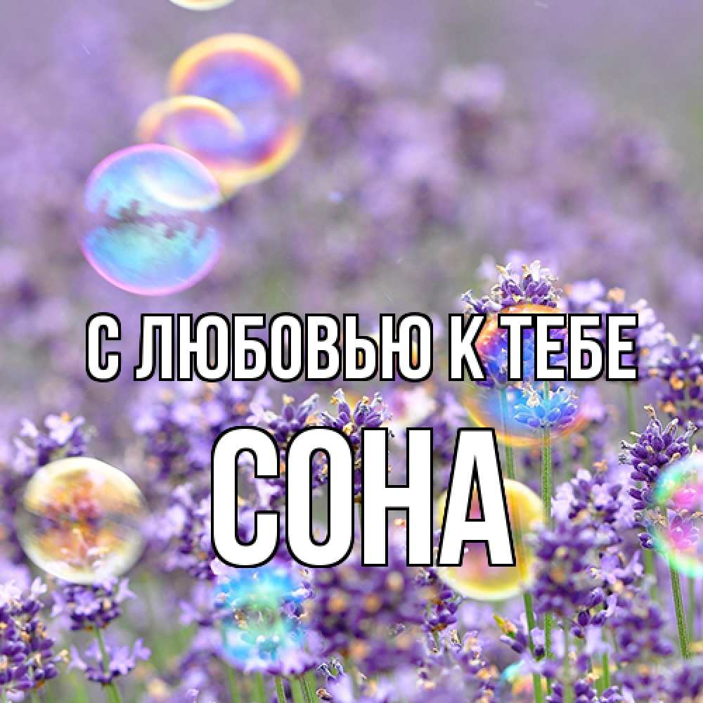 Открытка  с именем. СОНА, С любовью к тебе  