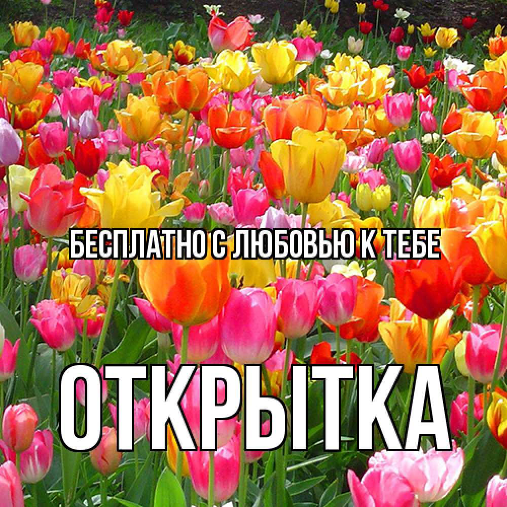 Открытка  с именем. открытка, С любовью к тебе  