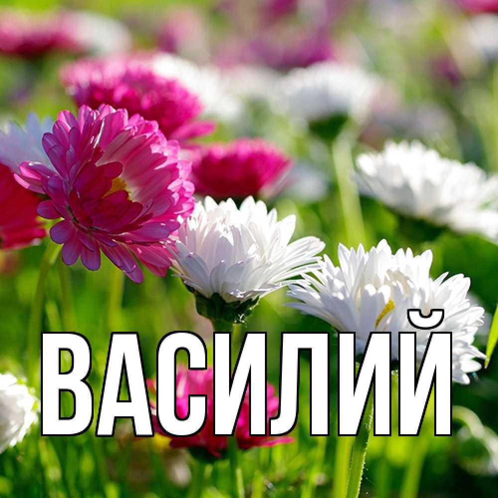Открытка  с именем. Василий, Главная  