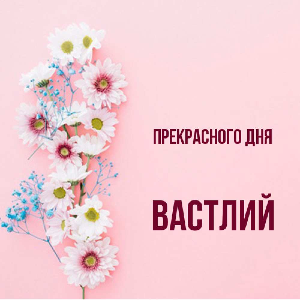 Открытка  с именем. Вастлий, Прекрасного дня  