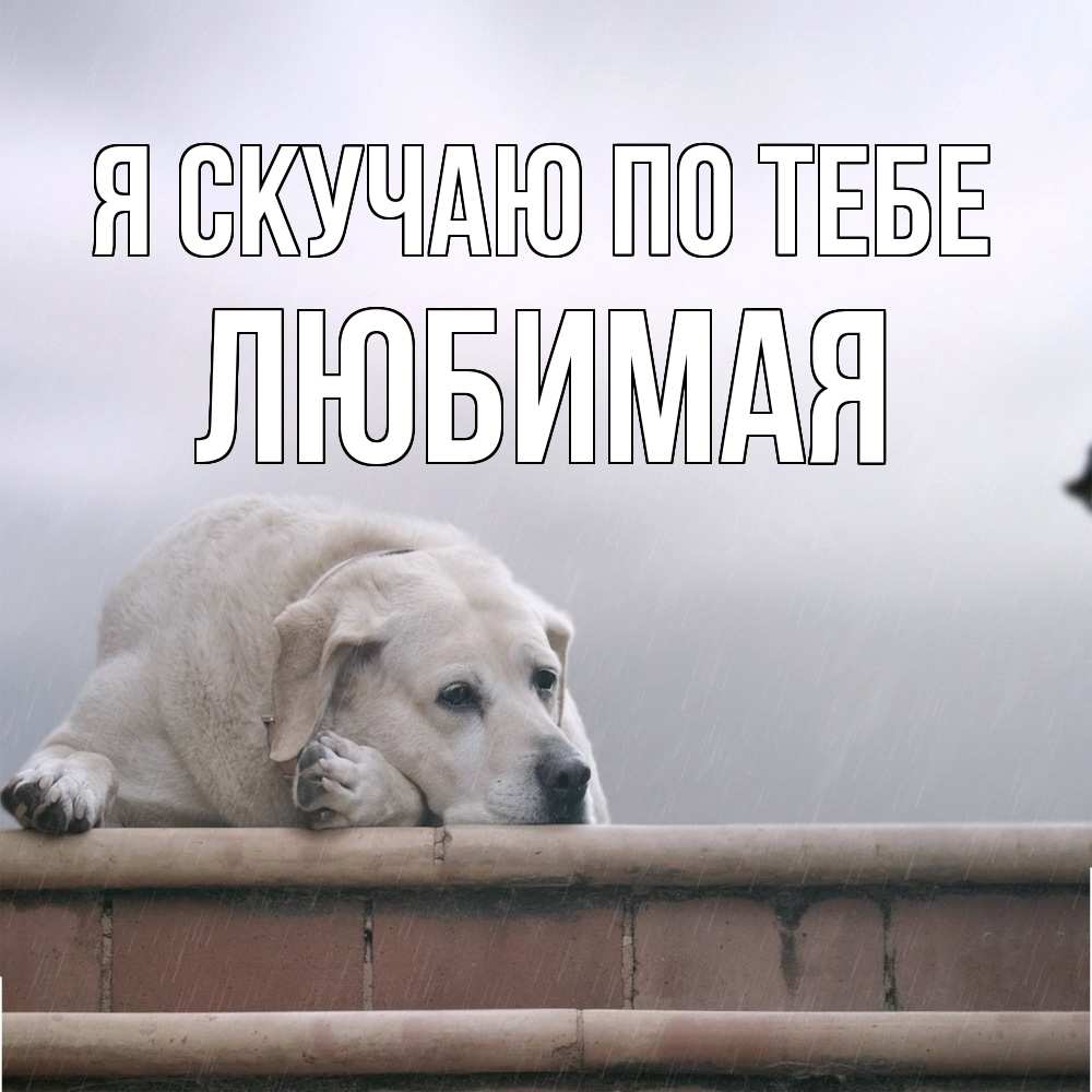 Открытка  с именем. Любимая, Я скучаю по тебе  