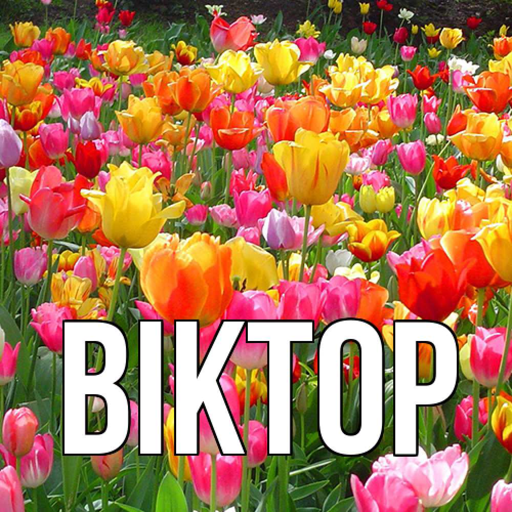 Открытка  с именем. Віктор, Главная  