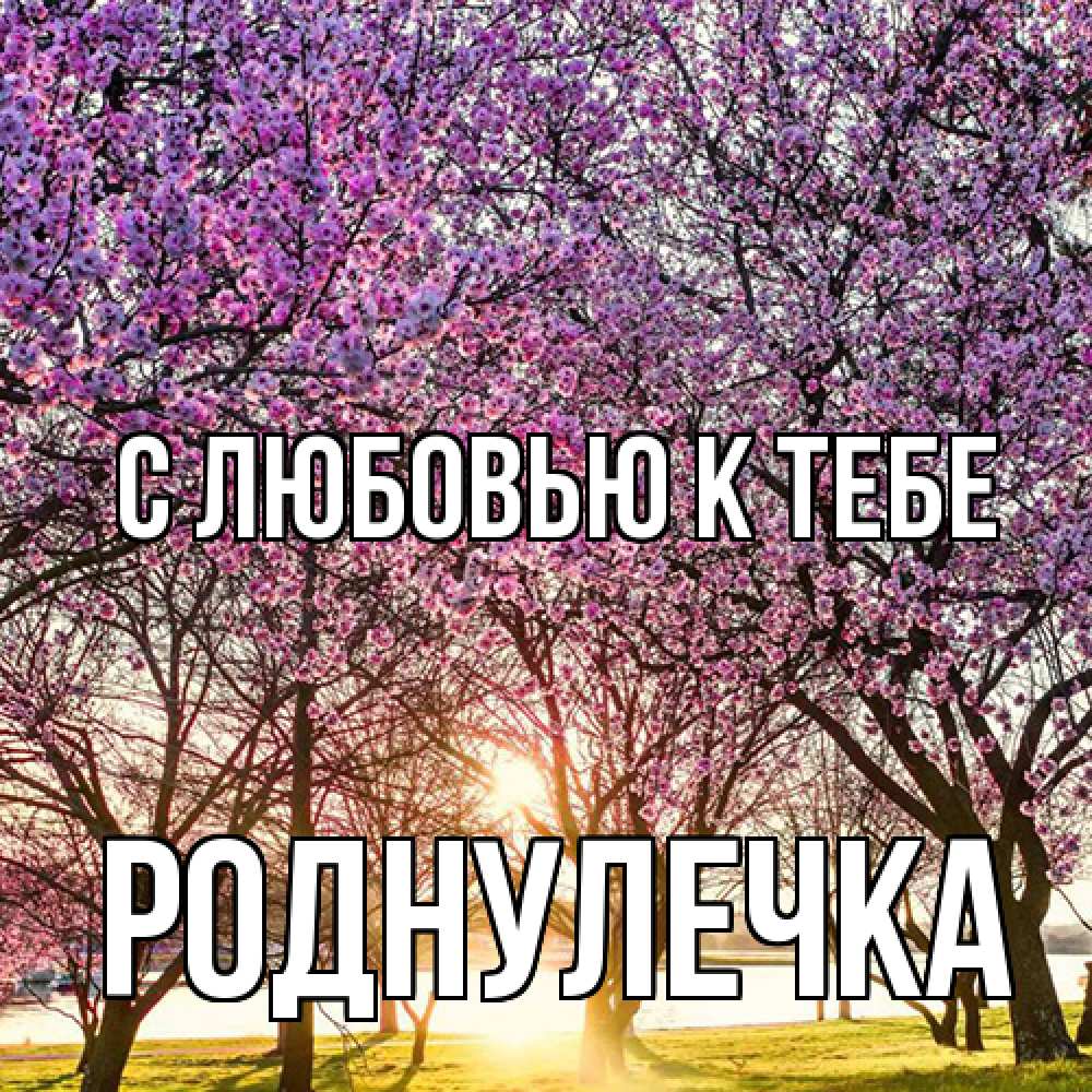 Открытка  с именем. Роднулечка, С любовью к тебе  