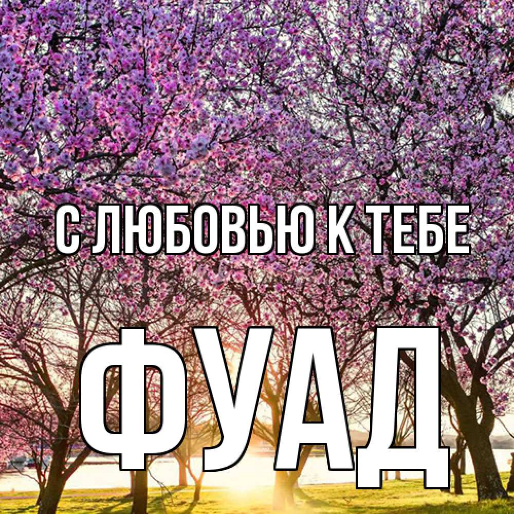 Открытка  с именем. Фуад, С любовью к тебе  