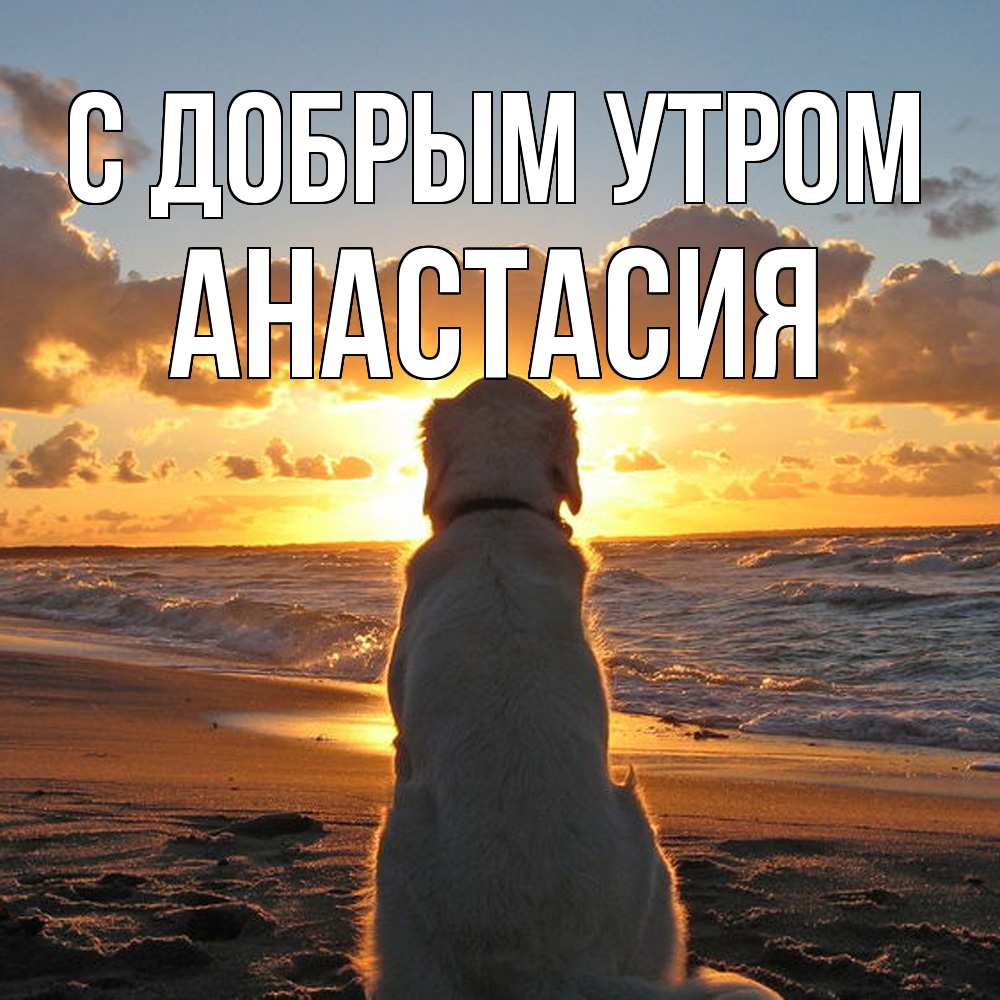 Открытка  с именем. Анастасия, С добрым утром  
