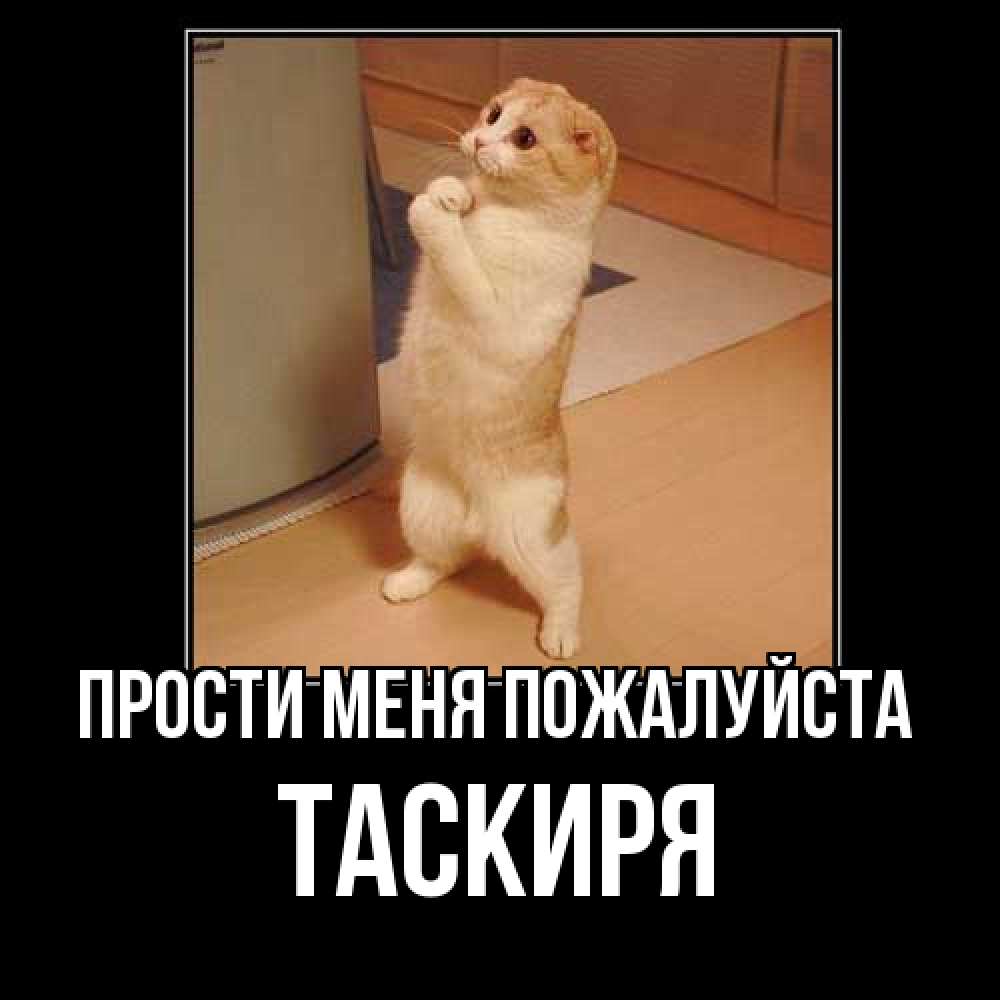 Открытка  с именем. Таскиря, Прости меня пожалуйста  