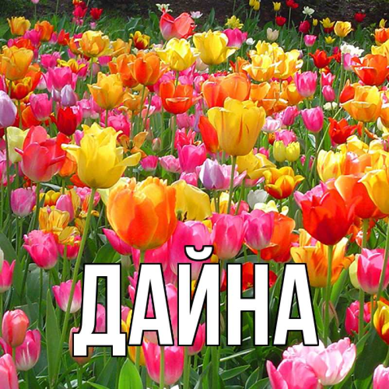 Картинка  с именем , Дайна