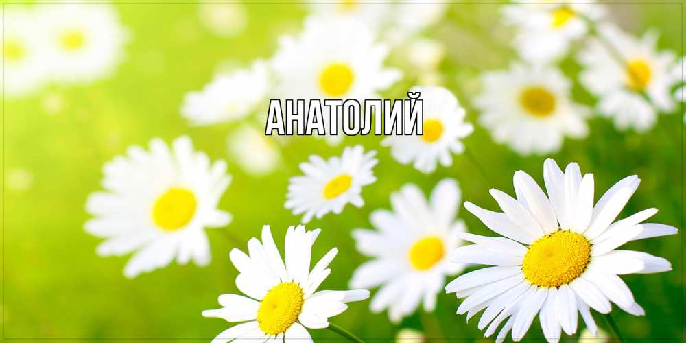 Открытка  с именем. Анатолий, Главная  
