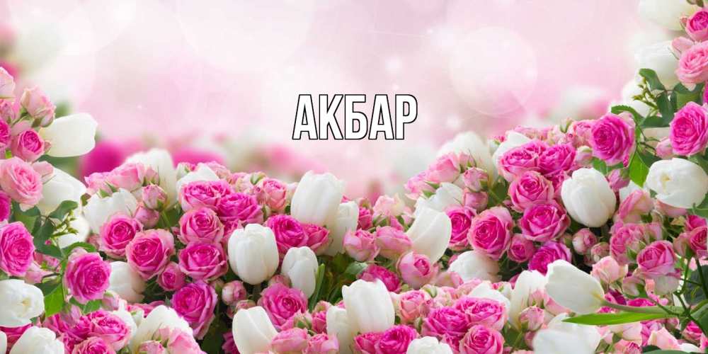 Открытка  с именем. Акбар, Главная  