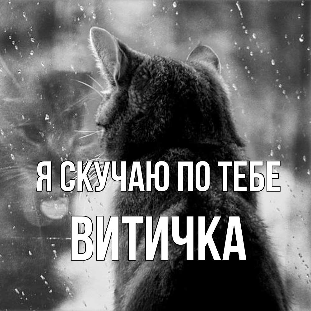 Открытка  с именем. Витичка, Я скучаю по тебе  