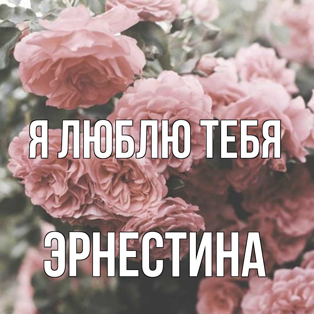 Открытка  с именем. Эрнестина, Я люблю тебя  
