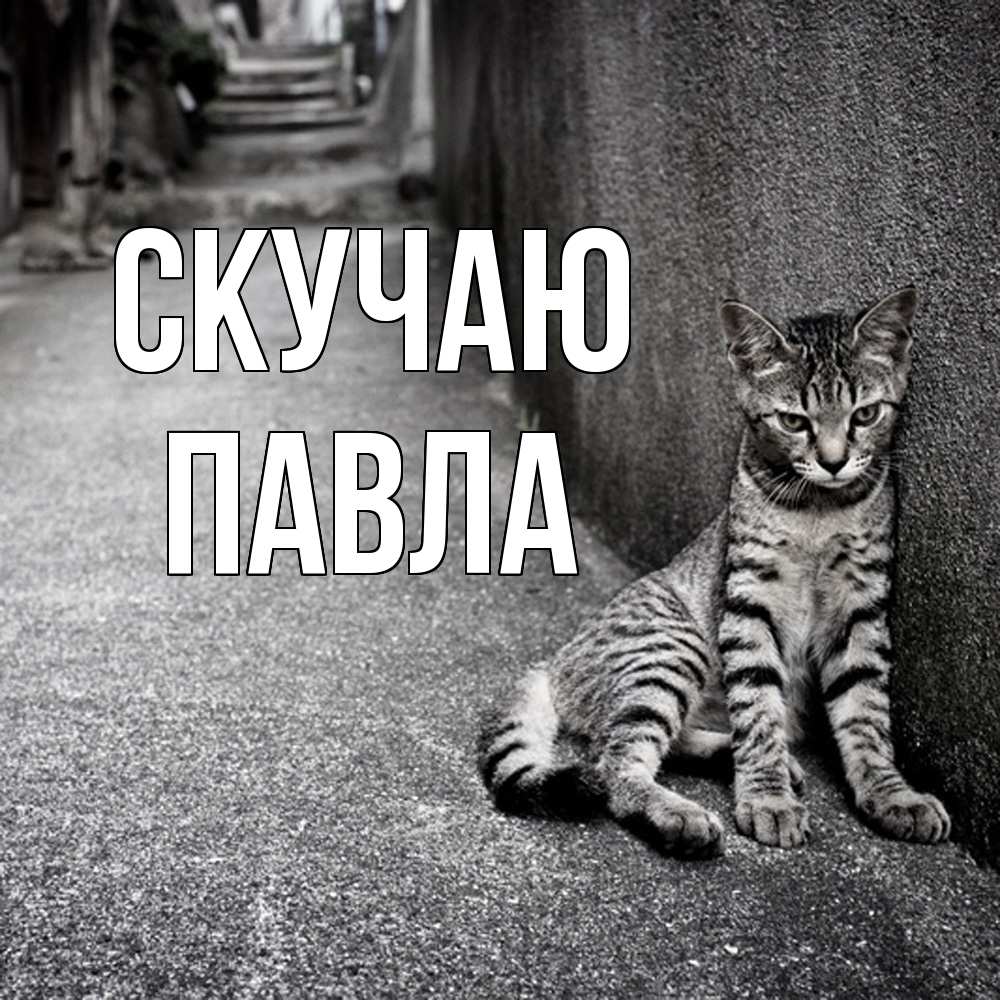 Открытка  с именем. Павла, Скучаю  